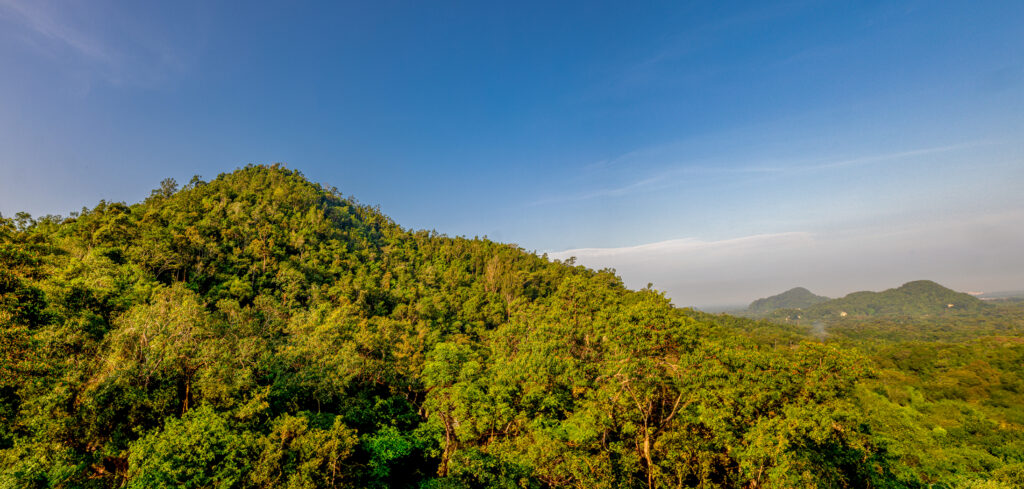 0O6A1684-Pano-Edit-Edit