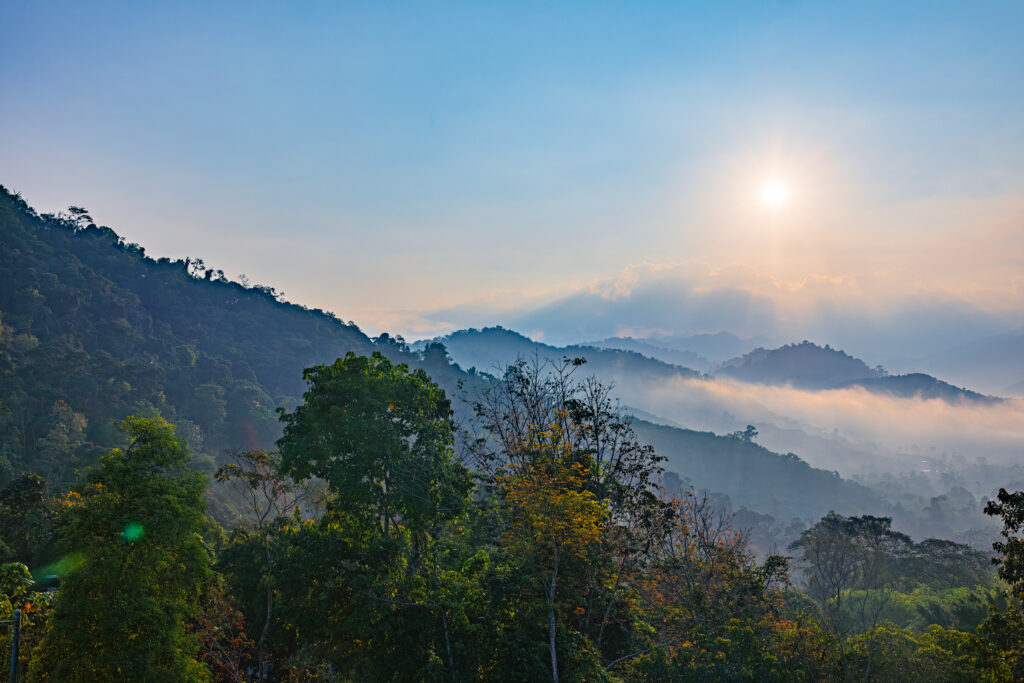 _O6A7448-Enhanced-NR-Edit